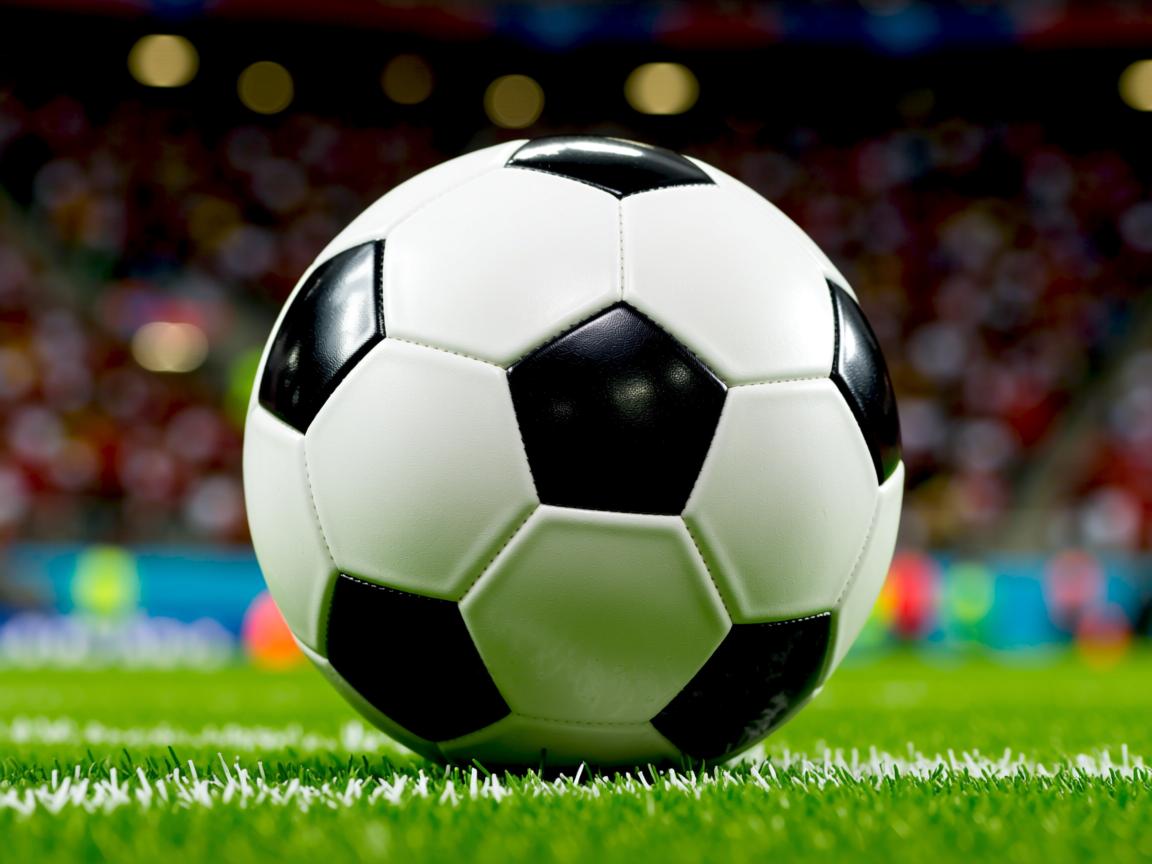 开云体育入口-Chinese Taipei奋斗不息，2024年乒乓世界杯热血开启，2024世界乒乓球锦标赛  第2张