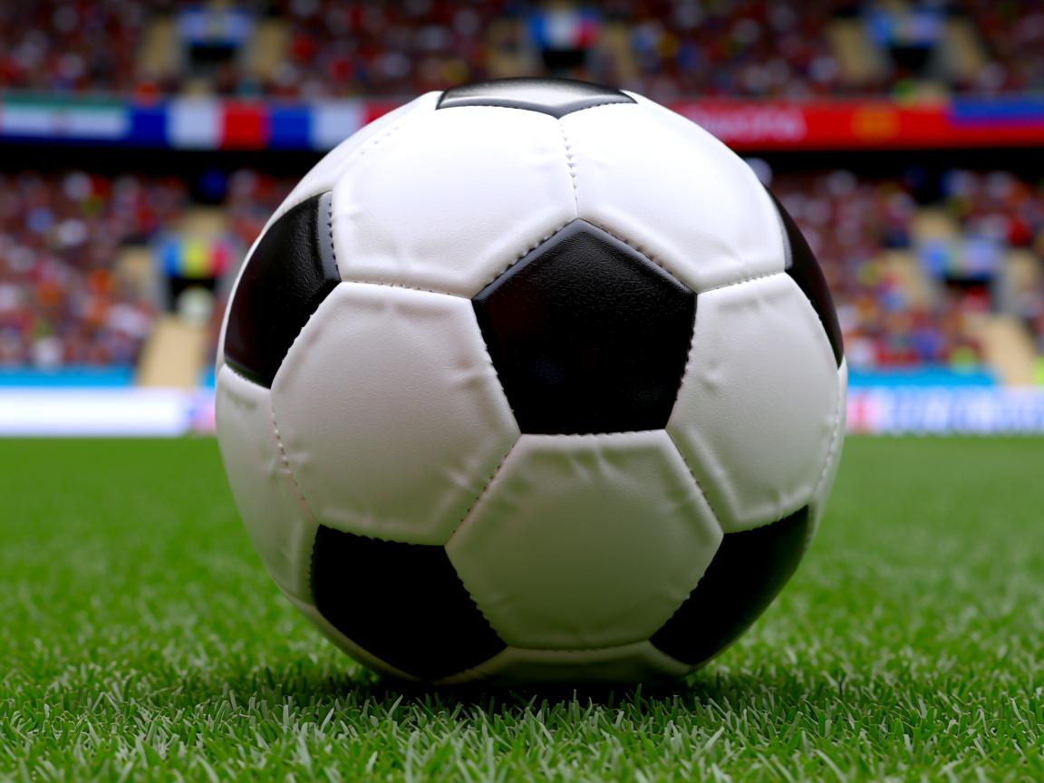 开云体育官网app-Chinese Taipei崭露头角，2024年世界杯进步显著，2024年世界杯在哪儿  第2张