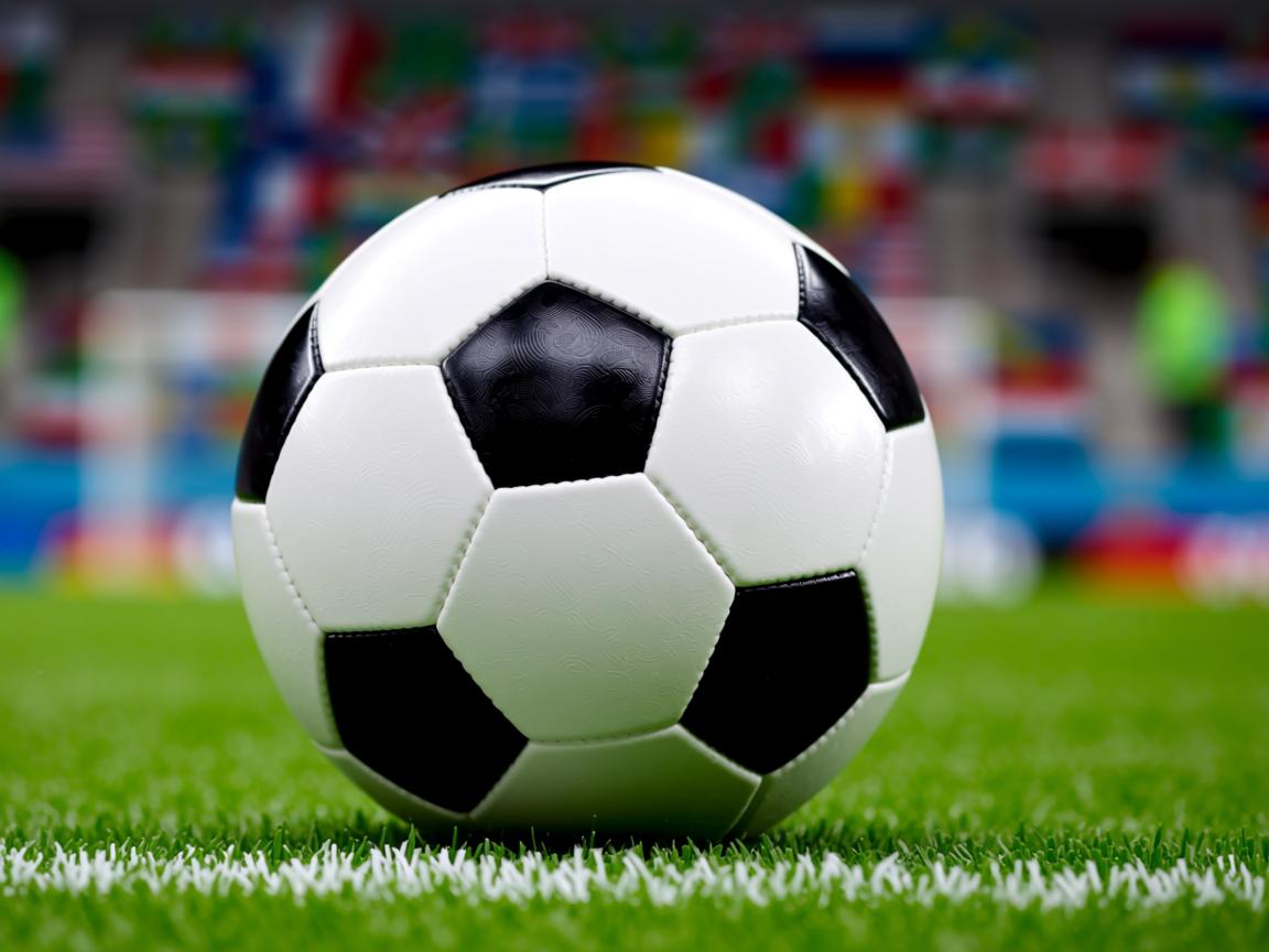 开云体育app入口-奥运备战各项准备工作扎实推进，奥运备战各项准备工作扎实推进什么  第3张